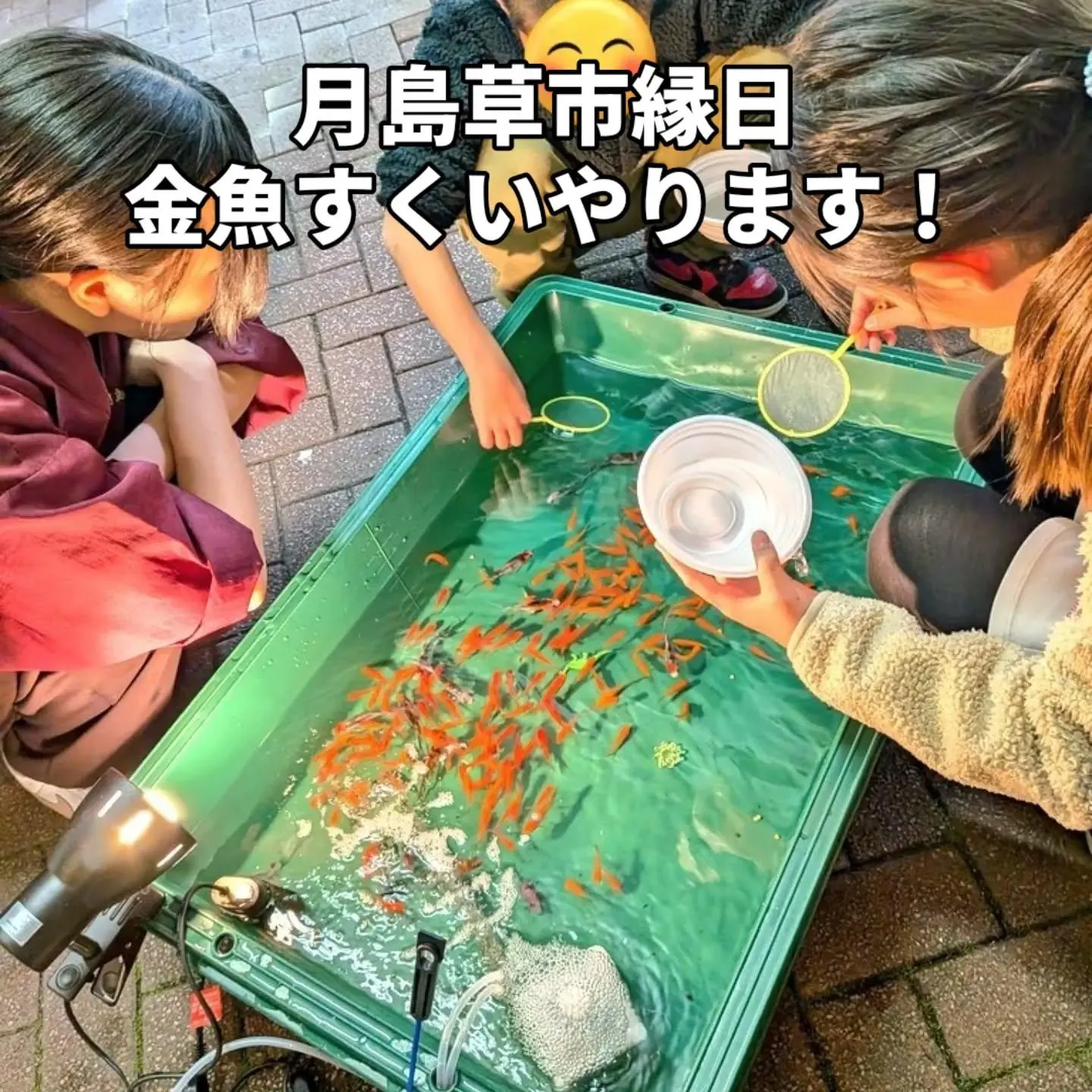 2026年7月11・12日 月島草市縁日｜誠の店前で金魚すくい